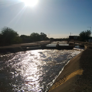 The Arizona Canal